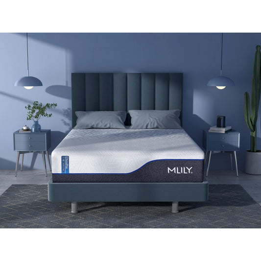 MLILY ChiroPro 1.0 Hybrid Extra Firm 13" Mattress front view on a platform mattress base in a decorated bedroom