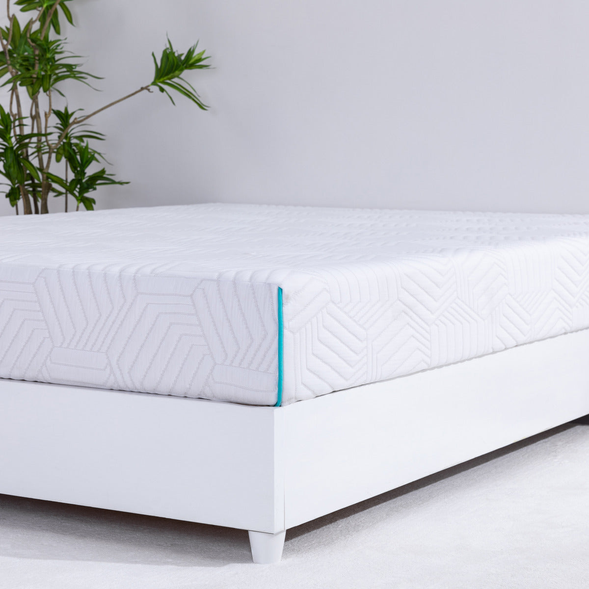 MLILY Essential Plus Memory Foam Medium 8" Mattress, showing the front, side, and corner of the mattress, sitting on top of a platform bed frame, inside a decorated bedroom, slightly zoomed in.